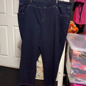 Terra Sky plus size pull on jeans